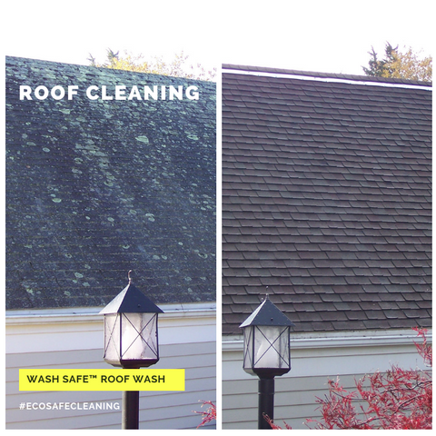 Roof, Cleaning, Roof Wash, Pressure Washing, Chemicals, Cleaner, Wash Safe, How to Clean Your Roof, Moss, Asphalt, Mold, Algae, Moss, Stains, 