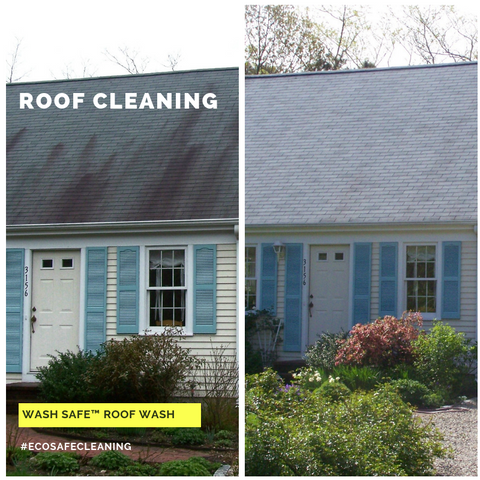 Roof, Cleaning, Roof Wash, Pressure Washing, Chemicals, Cleaner, Wash Safe, How to Clean Your Roof, Moss, Asphalt, Mold, Algae, Moss, Stains, 