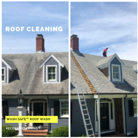 Roof, Cleaning, Roof Wash, Pressure Washing, Chemicals, Cleaner, Wash Safe, How to Clean Your Roof, Moss, Asphalt, Mold, Algae, Moss, Stains,
