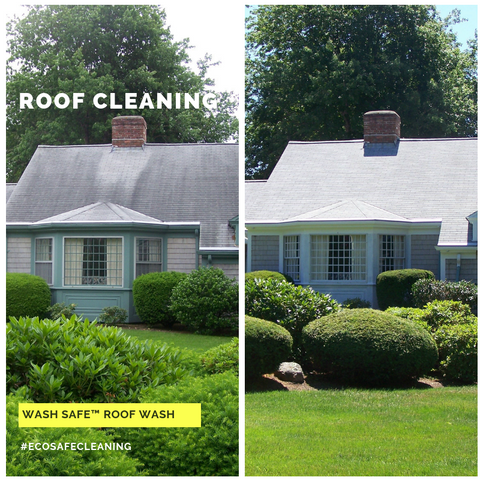 Roof, Cleaning, Roof Wash, Pressure Washing, Chemicals, Cleaner, Wash Safe, How to Clean Your Roof, Moss, Asphalt, Mold, Algae, Moss, Stains,