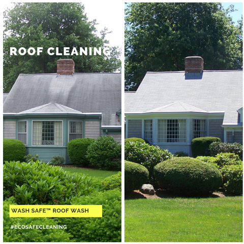 Roof, Cleaning, Roof Wash, Pressure Washing, Chemicals, Cleaner, Wash Safe, How to Clean Your Roof, Moss, Asphalt, Mold, Algae, Moss, Stains, 