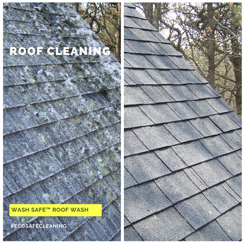 Roof, Cleaning, Roof Wash, Pressure Washing, Chemicals, Cleaner, Wash Safe, How to Clean Your Roof, Moss, Asphalt, Mold, Algae, Moss, Stains, 