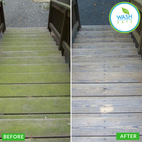 Best Deck Wash Mold Moss Algae Stain Removal Remover Cleaner