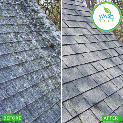 Roof, Cleaning, Roof Wash, Pressure Washing, Chemicals, Cleaner, Wash Safe, How to Clean Your Roof, Moss, Asphalt, Mold, Algae, Moss, Stains,