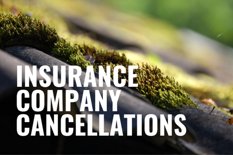Insurance Companies Are Cancelling Roof Coverage Over Moss, Mold, Algae & Lichen — Before You Replace Your Roof, Read This