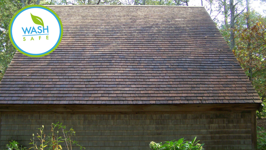 HOW TO MAKE MONEY CLEANING ROOFS