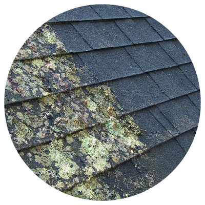 Wash Safe (formerly Street Appeal Pros) professional Cape Cod cedar cleaning, house washing, cedar sealing and cedar restoration specialists serving residential and commercial properties throughout Cape Cod (including the towns of Bourne, Sandwich, Falmouth, Mashpee, Barnstable, Yarmouth, Dennis, Harwich, Brewster, Chatham, Orleans, Eastham, Wellfleet, Truro, and Provincetown). We offer expert soft-washing, pressure-washing, exterior house washing, roof cleaning, deck cleaning, cedar shingle cleaning, cedar shingle sealing and wood restoration services designed to restore natural wood beauty, protect cedar siding and shingles from weather damage, remove mold, mildew, algae and dirt buildup, and deliver long-lasting exterior protection. Eco-friendly, locally trusted exterior cleaning and cedar restoration professionals covering homes, cottages, waterfront properties, and commercial buildings across Cape Cod, Massachusetts