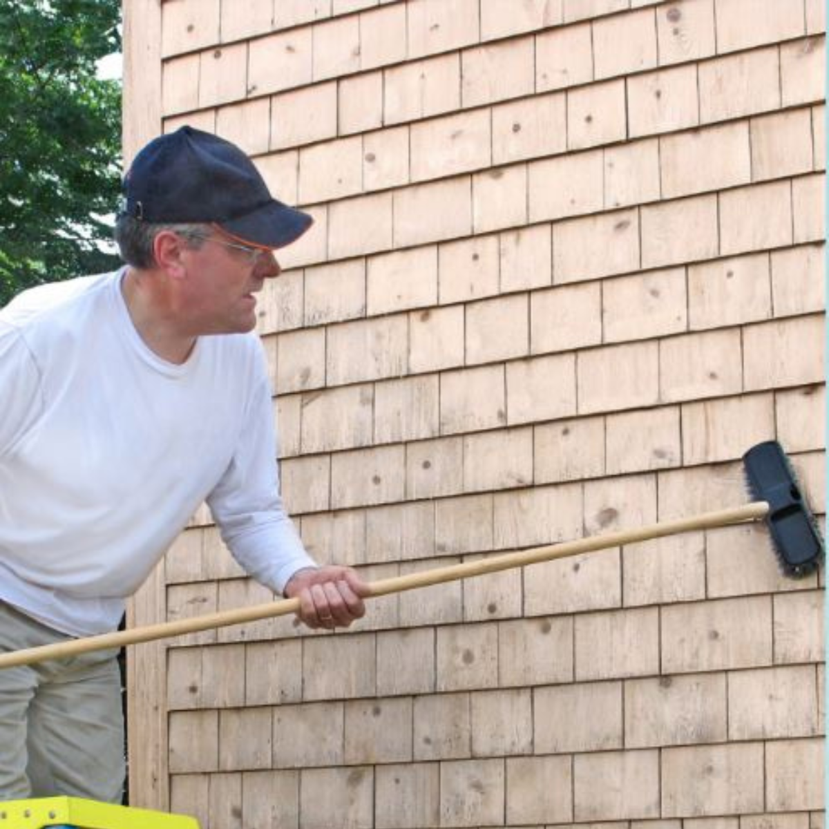 Cedar shake cleaning, cedar shingle cleaning, cedar siding cleaning, cleaning cedar homes, cedar roof cleaning, cedar maintenance, cleaning cedar wood, cleaning mildew from cedar, removing mold from cedar, cleaning cedar siding DIY, best cedar cleaners, non-toxic cedar cleaning, cedar cleaning solutions, cedar cleaning professionals, pressure washing cedar, eco-friendly cedar cleaning, cedar siding stain removal, cedar shake restoration, cedar roof maintenance, cleaning algae from cedar, cedar siding upkeep, soft washing cedar siding, cedar shingle preservation, biodegradable cedar cleaner, green cleaning cedar, cleaning cedar with vinegar, cedar siding cleaning tips, cedar roof moss removal, safe cedar cleaning methods, cedar cleaning without bleach, cedar cleaning with hydrogen peroxide, long-term cedar care, cleaning cedar siding before staining, cedar home exterior cleaning, cedar wood roof cleaning, cedar cleaning equipment, cedar cleaning cost, cedar cleaning services near me, cedar home maintenance guide, cedar cleaning frequency, cedar siding cleaning company, cedar roof algae removal, cedar cleaning for longevity, DIY cedar roof cleaning kit, organic cedar cleaning, affordable cedar cleaning, cedar wood cleaning advice, cedar siding mold prevention, cedar house washing, best way to clean cedar shingles, cedar siding algae removal, cedar cleaning service, cedar cleaning chemicals, professional cedar roof cleaning, cedar home washing tips, cedar cleaning without pressure washer, cedar roof cleaning methods, cedar siding maintenance tips, cedar shake cleaning products, cedar siding soft wash, cedar home exterior upkeep, cedar shake cleaning DIY, cedar siding cleaning products, safe cleaning for cedar, cedar shingle moss removal, cedar roof cleaning tips, cleaning cedar homes DIY, cedar siding restoration, cedar roof cleaning without damaging shingles, effective cedar cleaning methods, cedar siding algae prevention, cedar cleaning myths, cedar cleaning myths debunked, cedar roof preservation, cedar siding cleaning professionals, cedar cleaning sprayer, cedar roof cleaning contractor, cedar cleaning brush, cedar roof ladder safety, cedar cleaning service cost, cedar cleaning checklist, cedar roof cleaning and sealing, cedar cleaning regulations, cedar siding cleaning near me, cedar cleaning DIY kit, cedar home washing advice, cedar roof maintenance guide, cedar shingle cleaning frequency, cedar home exterior maintenance, cedar cleaning and repair, cedar roof cleaning instructions, cedar cleaning safety, cedar roof cleaning guide, cedar cleaning reviews, cedar cleaning tips and tricks, cedar cleaning for longevity, cedar cleaning advice, cedar roof cleaning video, cedar cleaning tutorials, cedar cleaning FAQs, cedar roof cleaning myths, cedar roof cleaning myths debunked, cedar cleaning vs. replacement, cedar roof cleaning machine, cedar cleaning business, cedar cleaning pressure washer, cedar cleaning time lapse, cedar home cleaning schedule, cedar roof cleaning benefits, cedar home cleaning and painting, cedar cleaning business startup.
