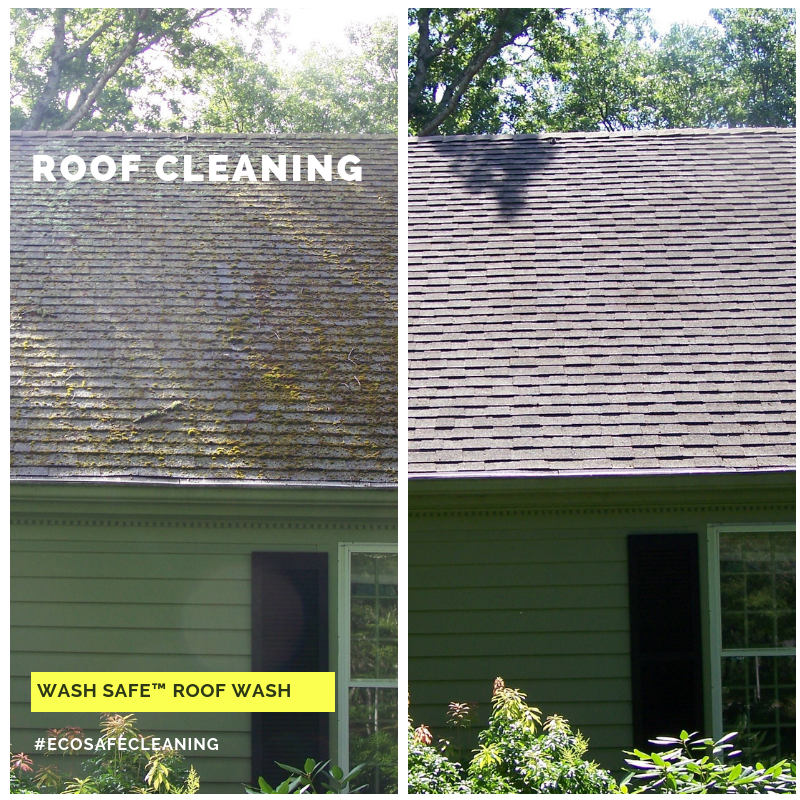 Roof, Cleaning, Roof Wash, Pressure Washing, Chemicals, Cleaner, Wash Safe, How to Clean Your Roof, Moss, Asphalt, Mold, Algae, Moss, Stains, 