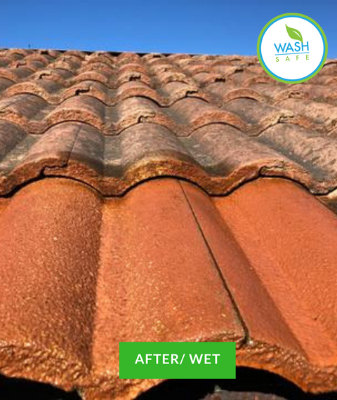 Tile, Roof, Wash, Roof Cleaning, Clay, Slate, Concrete, Wash Safe, How to clean tile roof, red roof tiles, moss, algae, mold